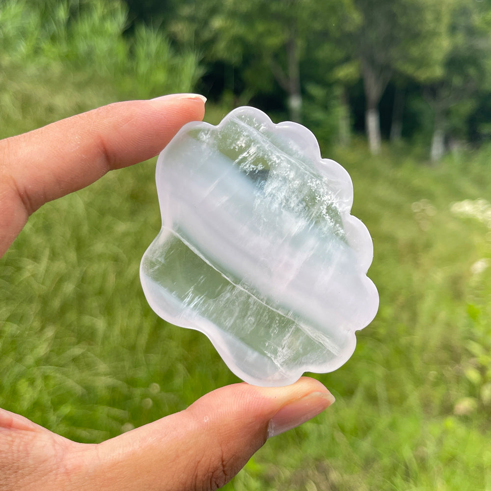 Natural Crystal Fluorite Shell Bowl Carving