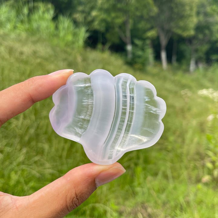Natural Crystal Fluorite Shell Bowl Carving