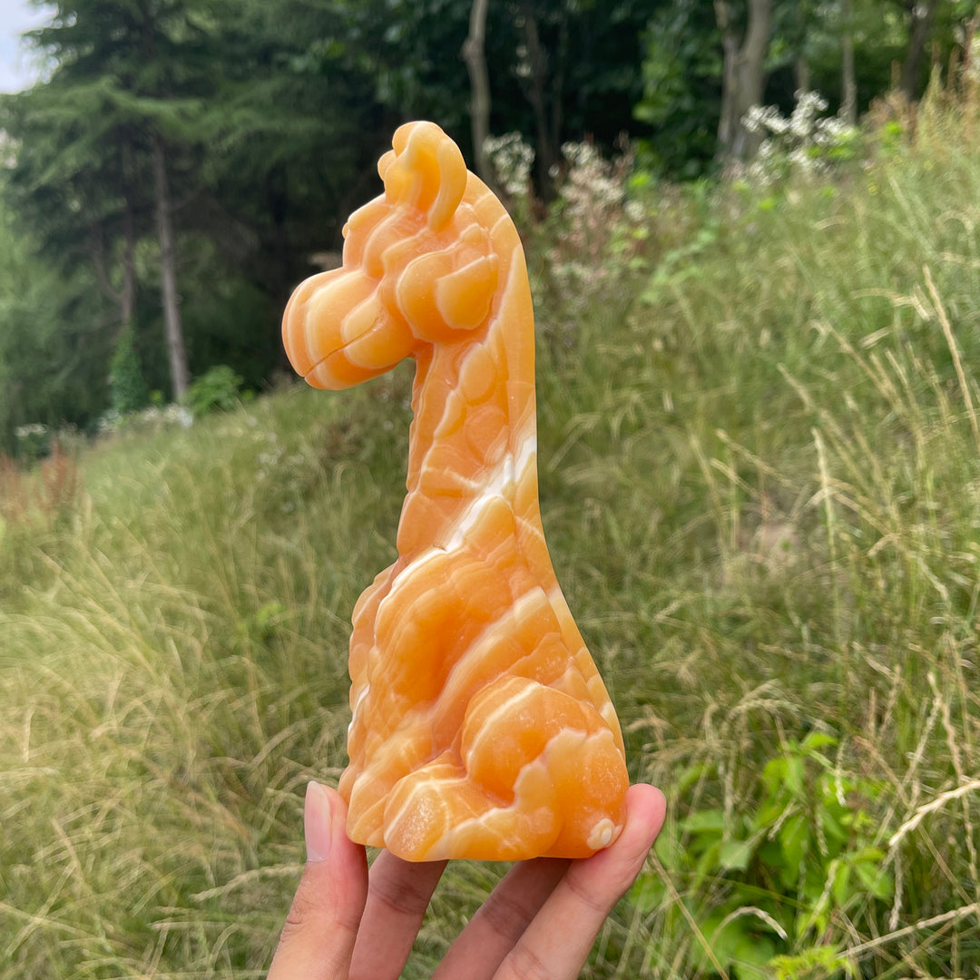 Unique,Natural Cute Yellow Calcite Sitting Giraffe Crystal Carving