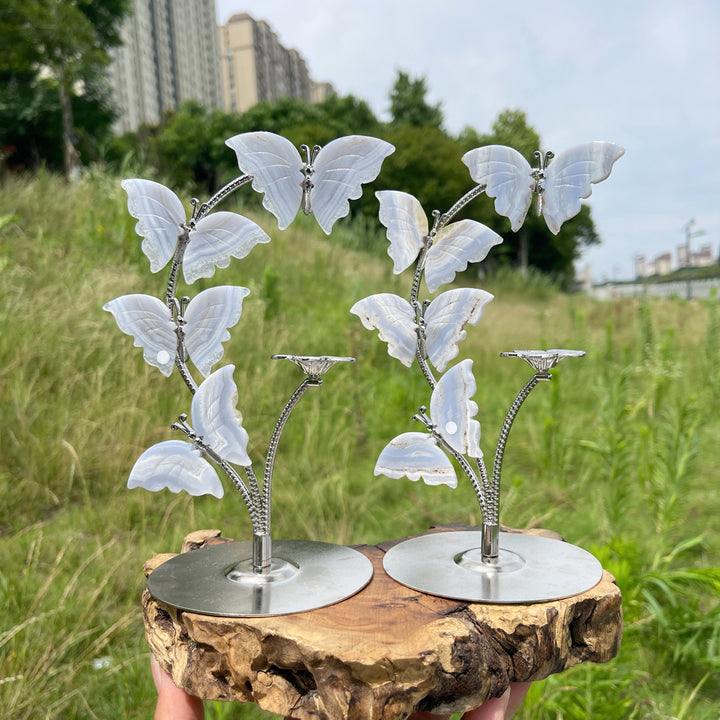 A Slightly Imperfect Natural Crystal Blue Lace Agate Butterfly Sphere Stand