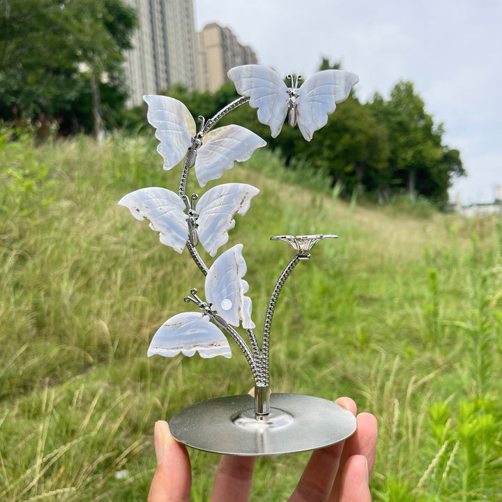 A Slightly Imperfect Natural Crystal Blue Lace Agate Butterfly Sphere Stand