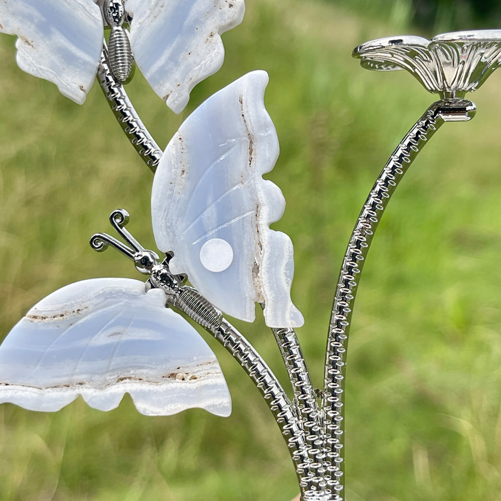 A Slightly Imperfect Natural Crystal Blue Lace Agate Butterfly Sphere Stand