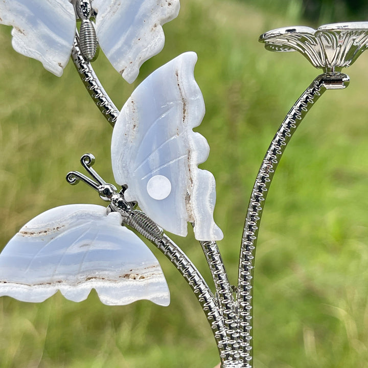 A Slightly Imperfect Natural Crystal Blue Lace Agate Butterfly Sphere Stand
