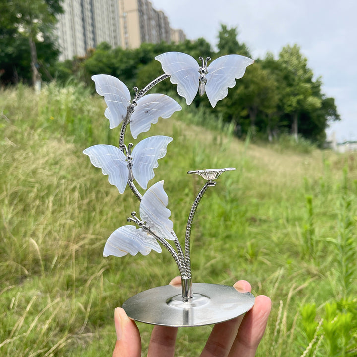 A Slightly Imperfect Natural Crystal Blue Lace Agate Butterfly Sphere Stand