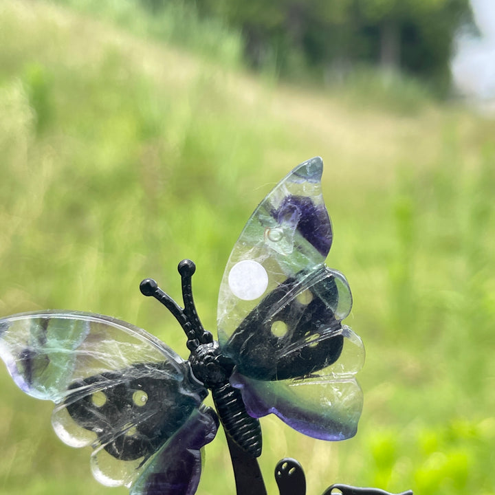 A Slightly Imperfect Natural Fluorite Cat Chasing Butterfly Display Ornament