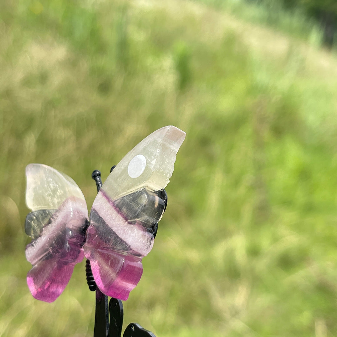 A Slightly Imperfect Natural Fluorite Cat Chasing Butterfly Display Ornament