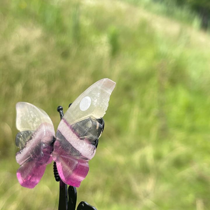 A Slightly Imperfect Natural Fluorite Cat Chasing Butterfly Display Ornament