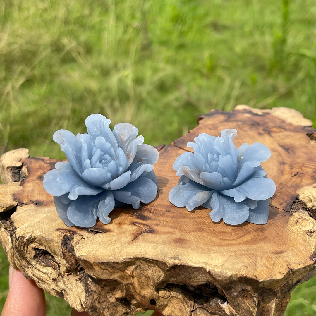 Unique,Natural Crystal Angelite Peony Flower Carving