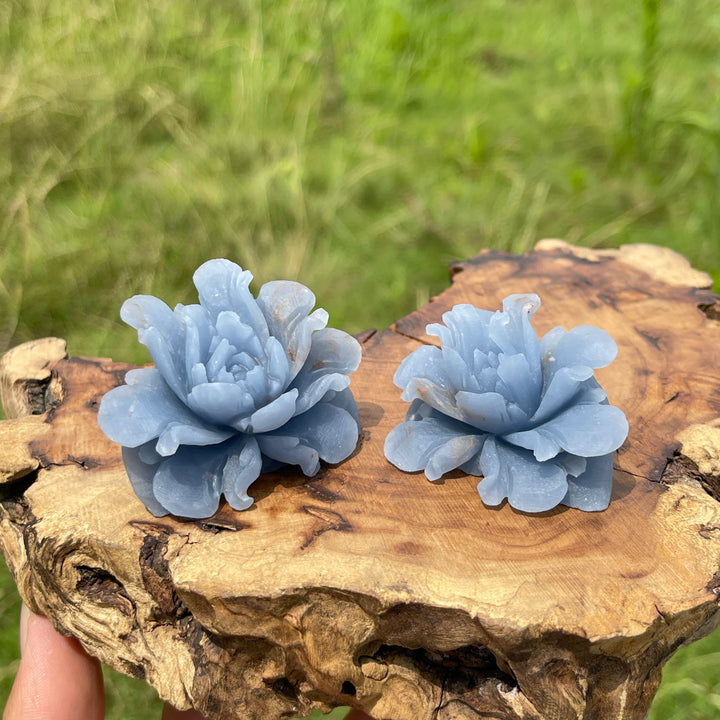 Unique,Natural Crystal Angelite Peony Flower Carving