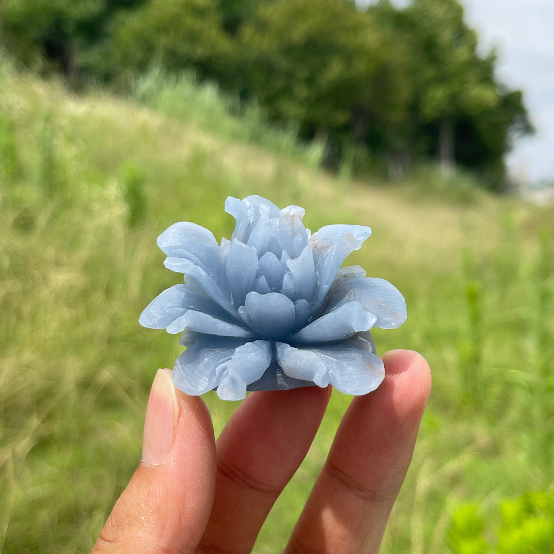 Unique,Natural Crystal Angelite Peony Flower Carving