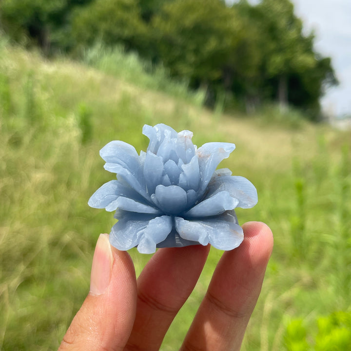 Unique,Natural Crystal Angelite Peony Flower Carving