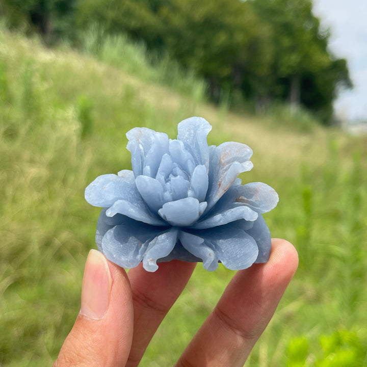 Unique,Natural Crystal Angelite Peony Flower Carving