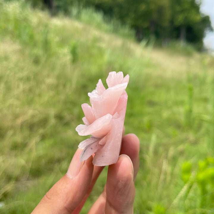 Unique,Natural Crystal Exquisite Peony Bloom Carving