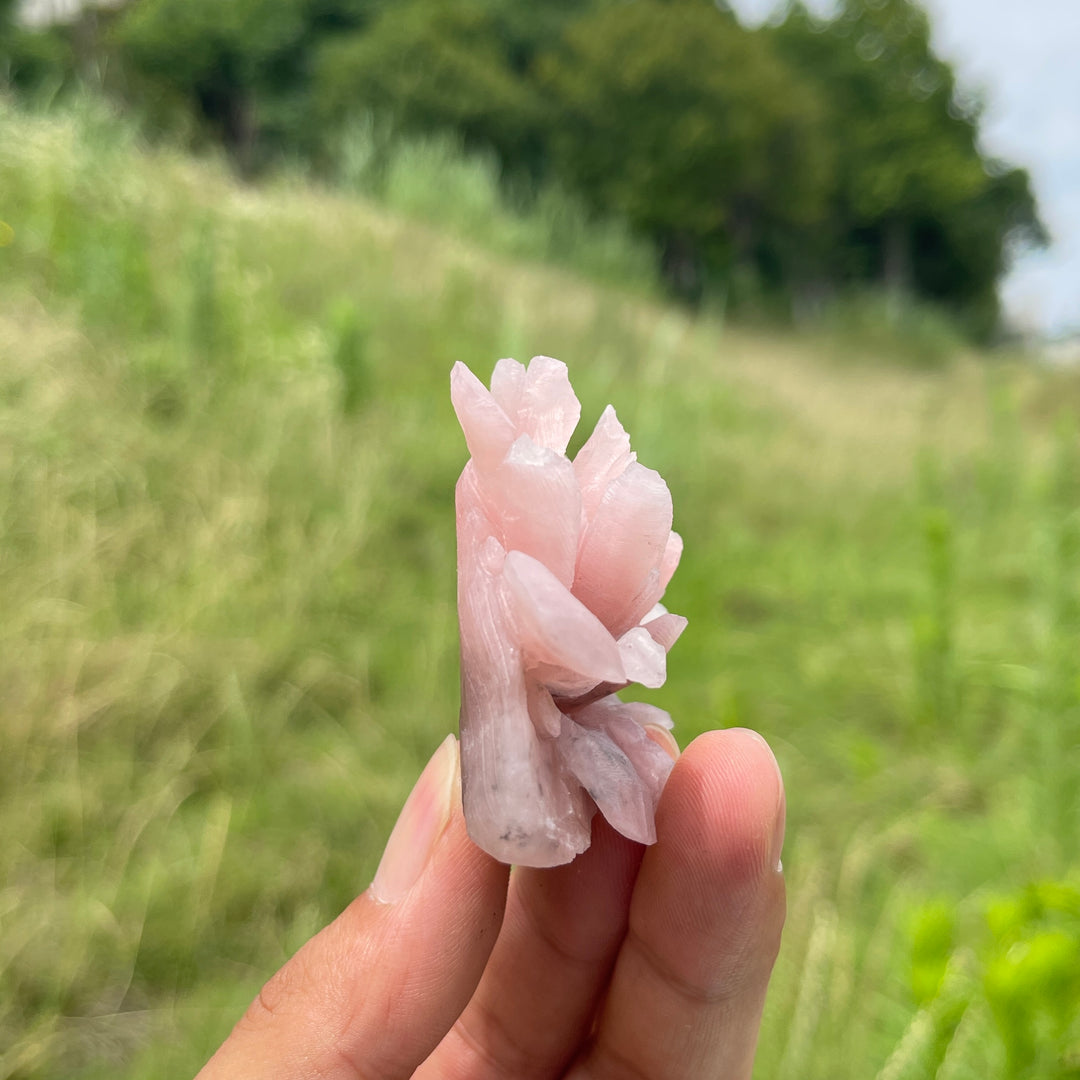 Unique,Natural Crystal Exquisite Peony Bloom Carving