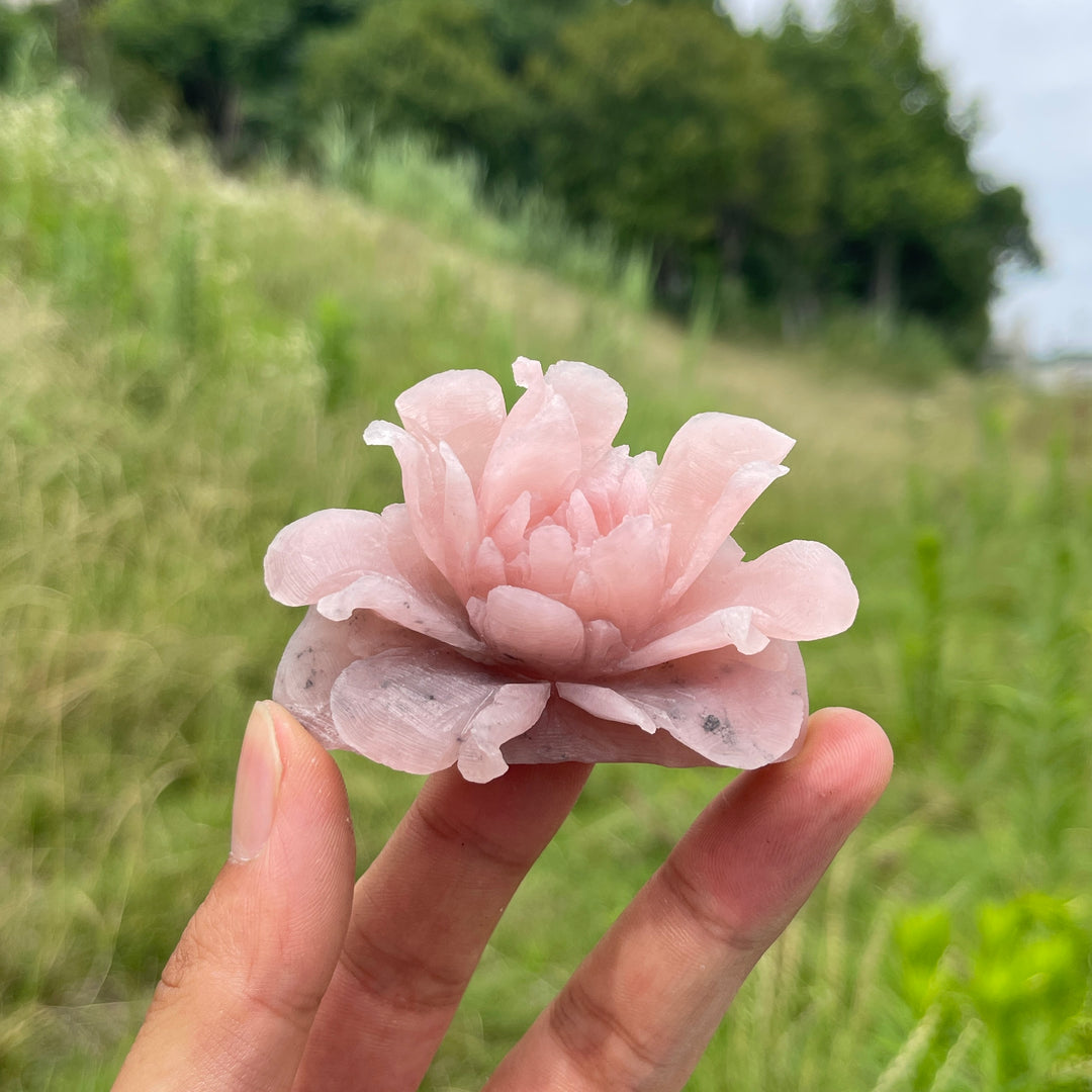 Unique,Natural Crystal Exquisite Peony Bloom Carving