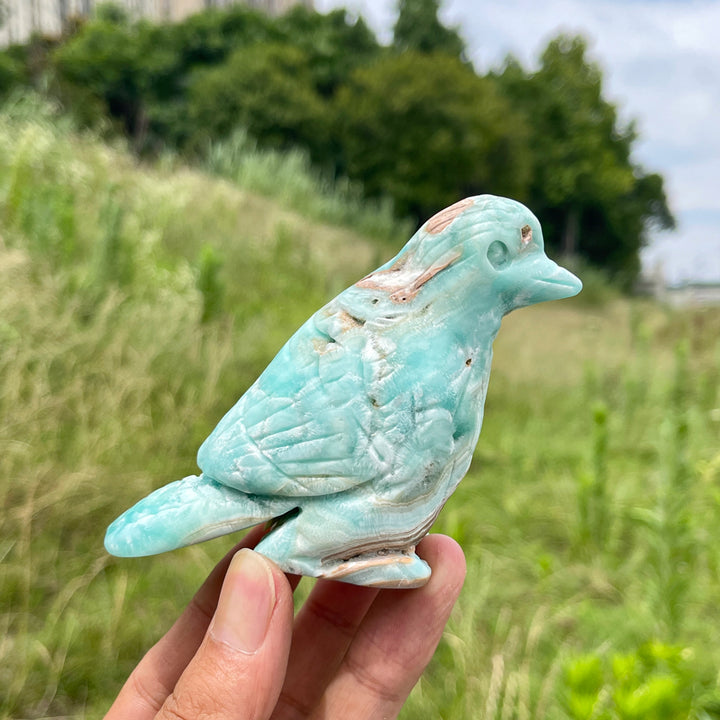 Unique,Natural Crystal Hemimorphite Cute Bird Carving