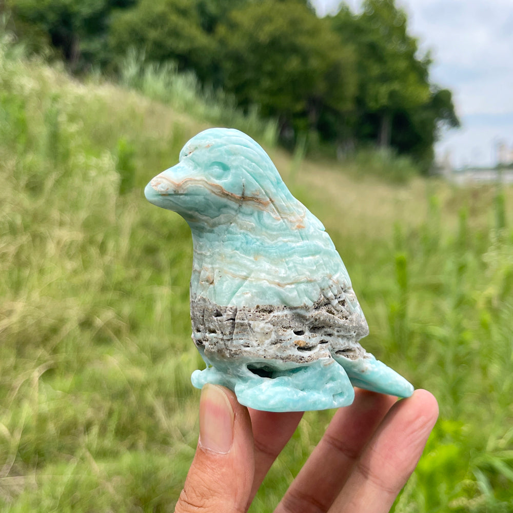 Unique,Natural Crystal Hemimorphite Cute Bird Carving