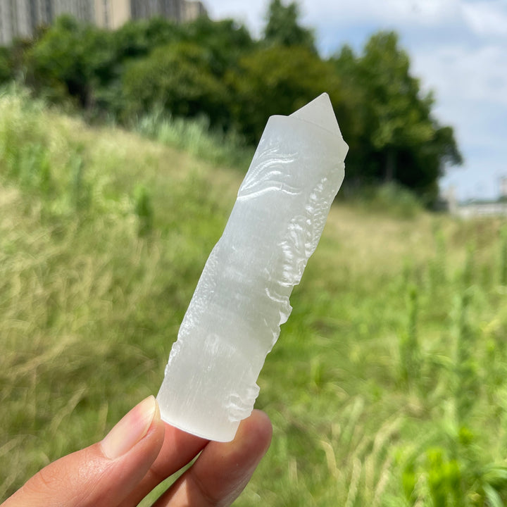 Natural Crystal Selenite Wrapped Dragon Point