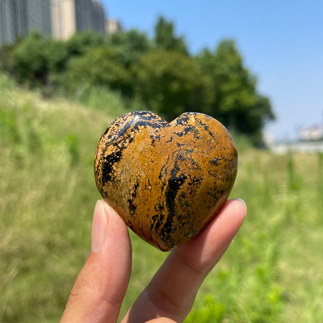 Natural Crystal Pietersite Heart