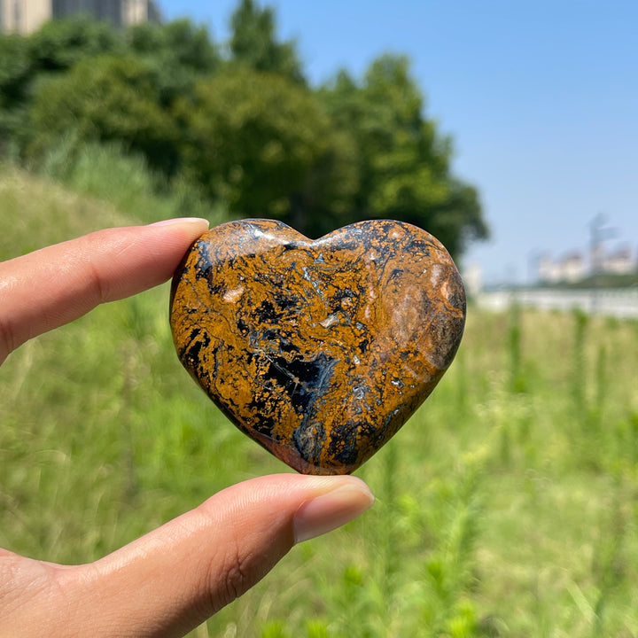 Natural Crystal Pietersite Heart