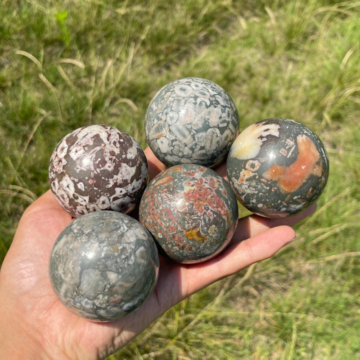 Natural Crystal Crinoid Fossil Sphere