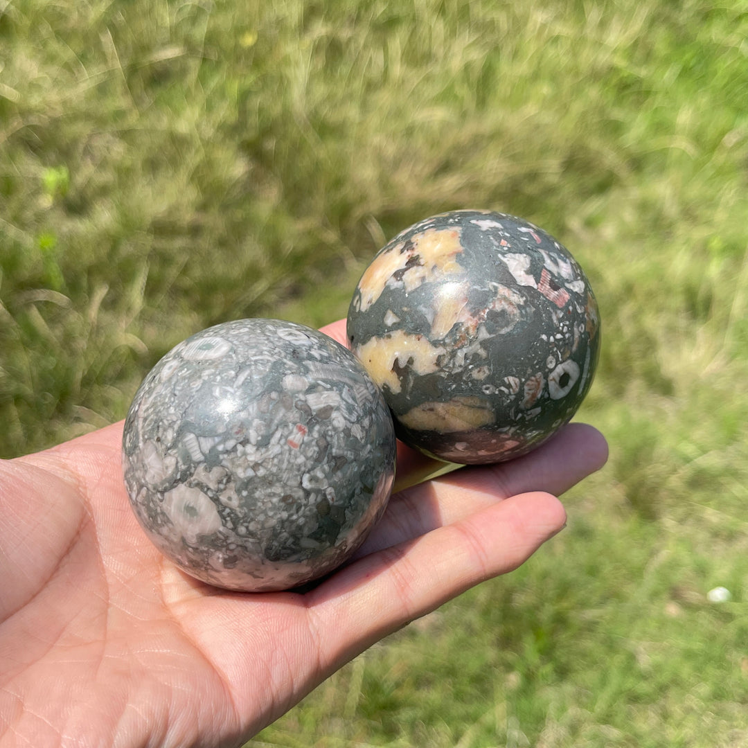 Natural Crystal Crinoid Fossil Sphere