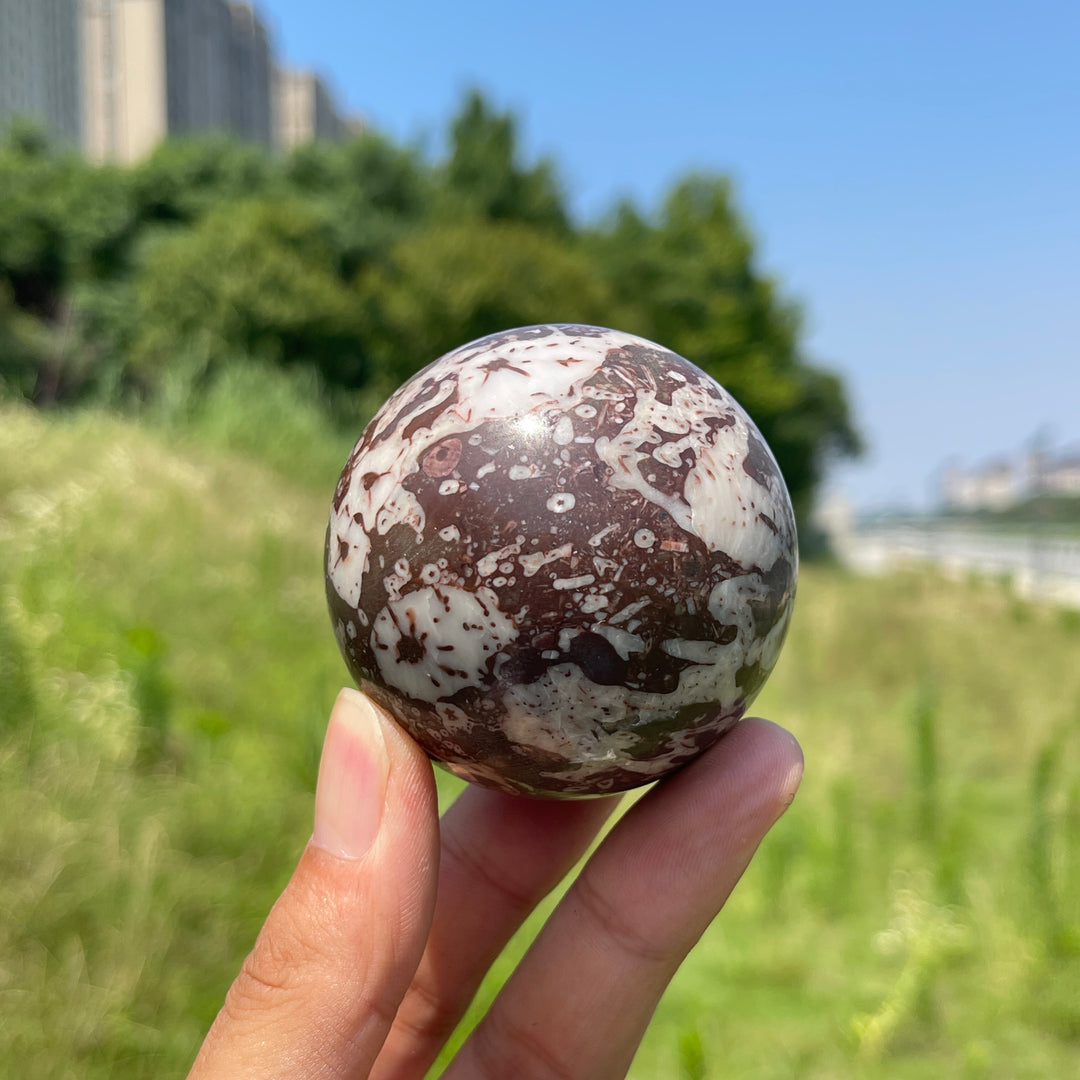 Natural Crystal Crinoid Fossil Sphere