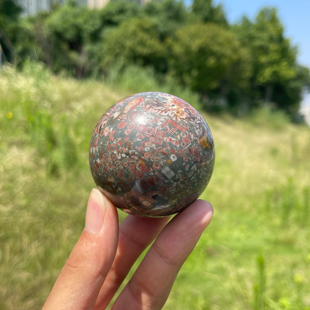 Natural Crystal Crinoid Fossil Sphere