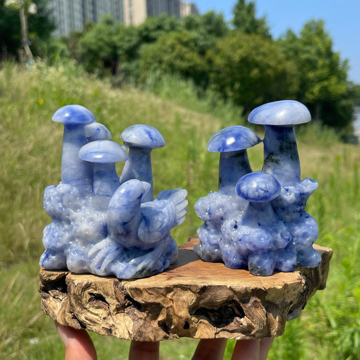 Unique,A Slightly Imperfect Natural Blue And White Porcelain Sodalite Mushroom