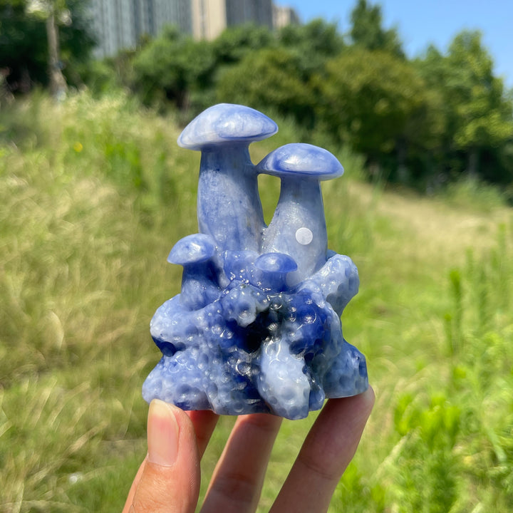 Unique,A Slightly Imperfect Natural Blue And White Porcelain Sodalite Mushroom
