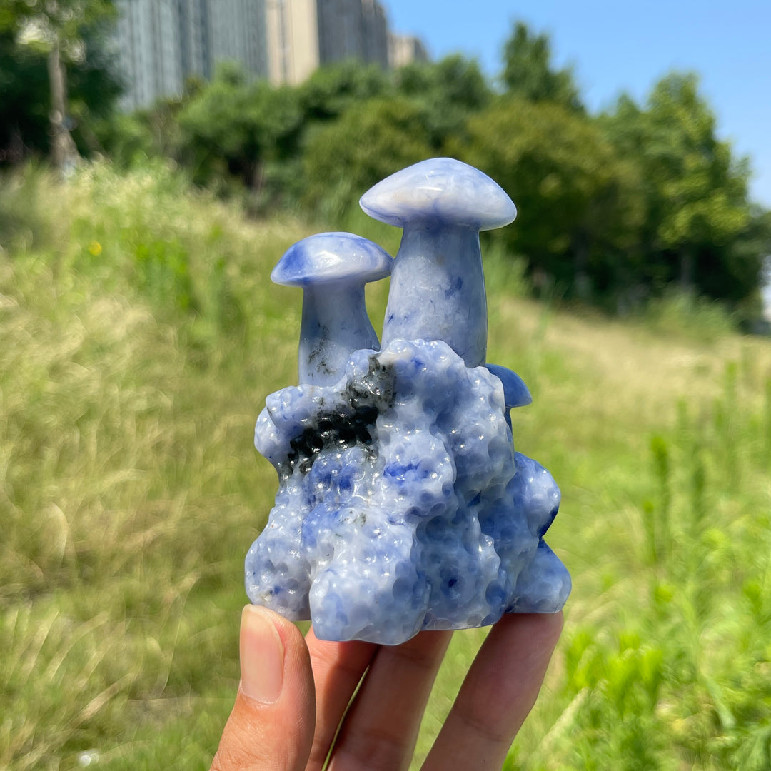 Unique,A Slightly Imperfect Natural Blue And White Porcelain Sodalite Mushroom