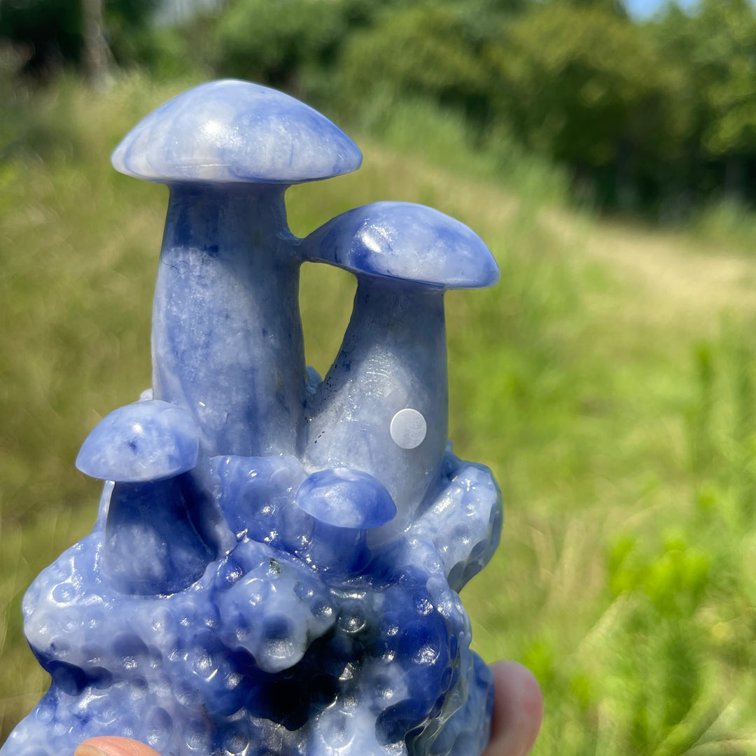 Unique,A Slightly Imperfect Natural Blue And White Porcelain Sodalite Mushroom