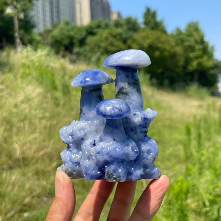 Unique,A Slightly Imperfect Natural Blue And White Porcelain Sodalite Mushroom