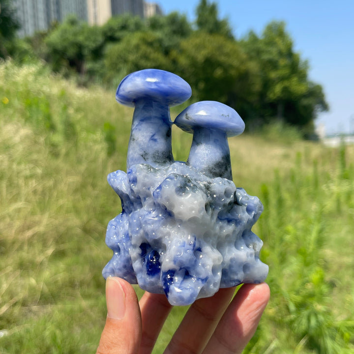 Unique,A Slightly Imperfect Natural Blue And White Porcelain Sodalite Mushroom