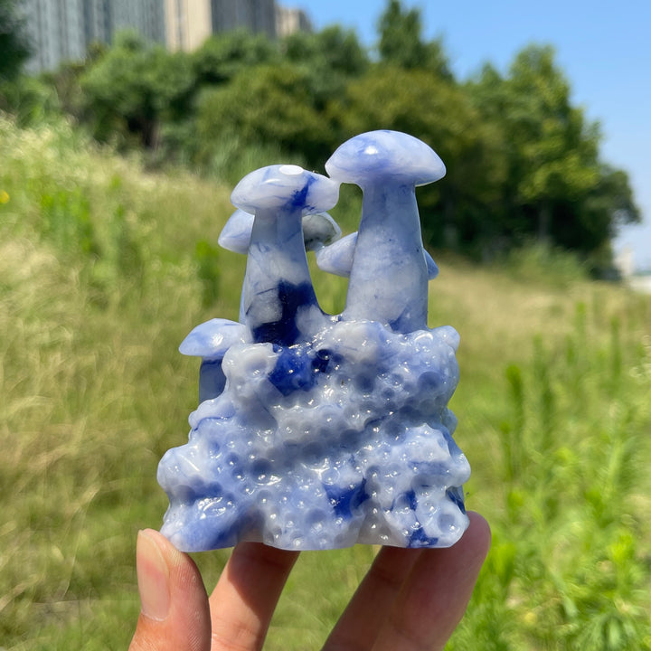Unique,A Slightly Imperfect Natural Blue And White Porcelain Sodalite Mushroom