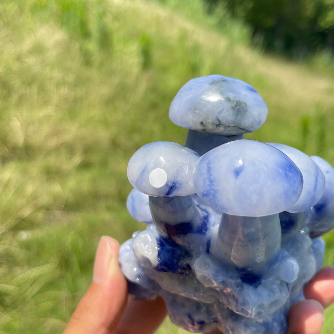Unique,A Slightly Imperfect Natural Blue And White Porcelain Sodalite Mushroom