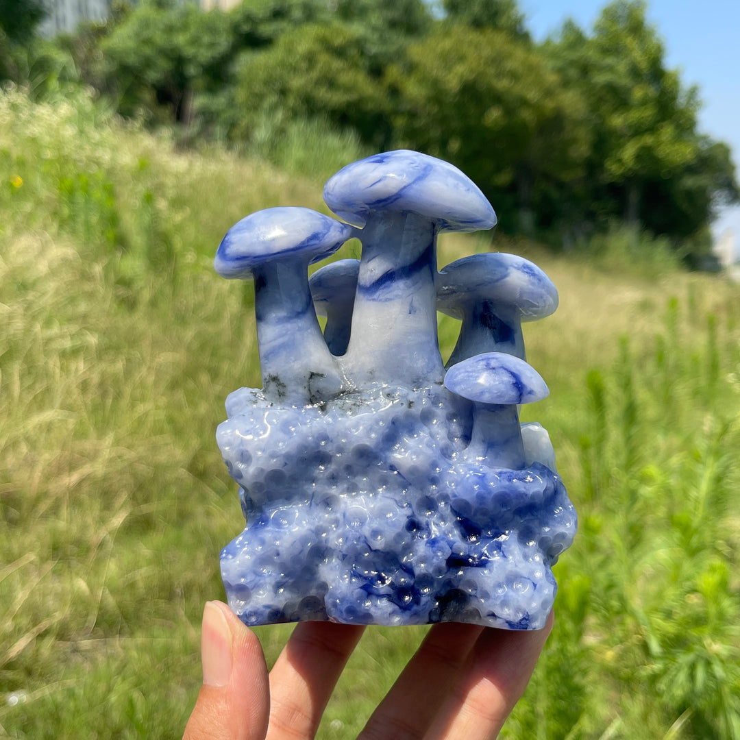 Unique,A Slightly Imperfect Natural Blue And White Porcelain Sodalite Mushroom