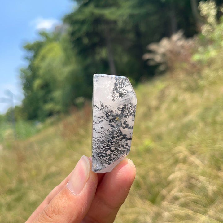 Unique,Natural Crystal Dendritic Quartz Freeform