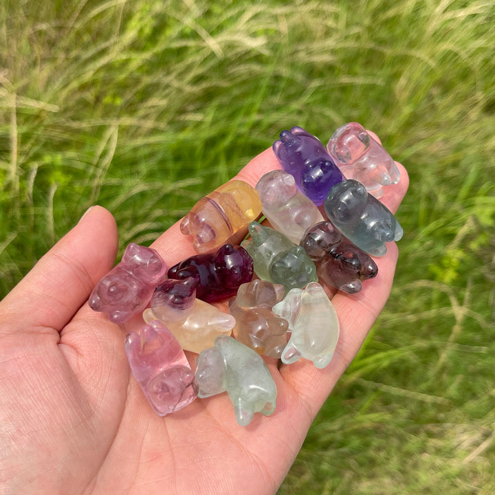 Natural Crystal Adorable Fluorite Wiggly Cat Carving