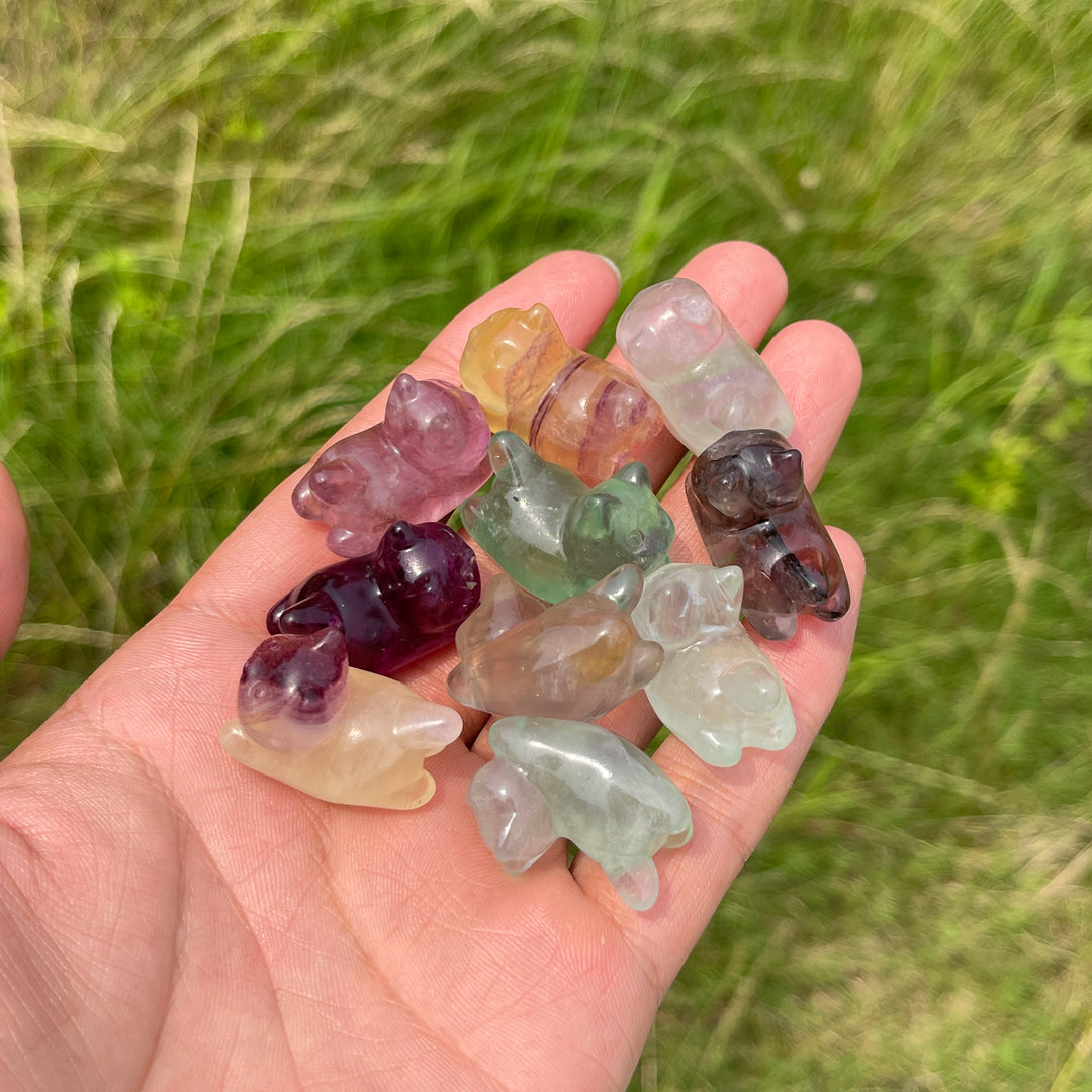 Natural Crystal Adorable Fluorite Wiggly Cat Carving