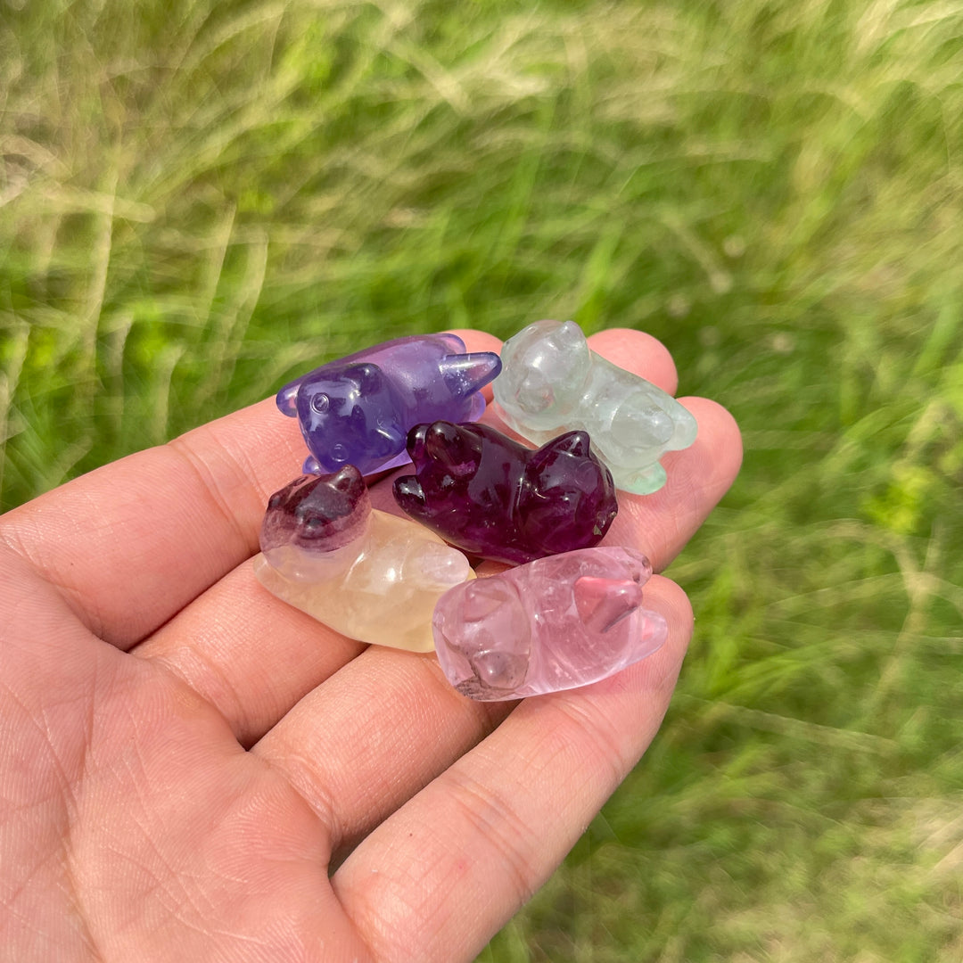 Natural Crystal Adorable Fluorite Wiggly Cat Carving