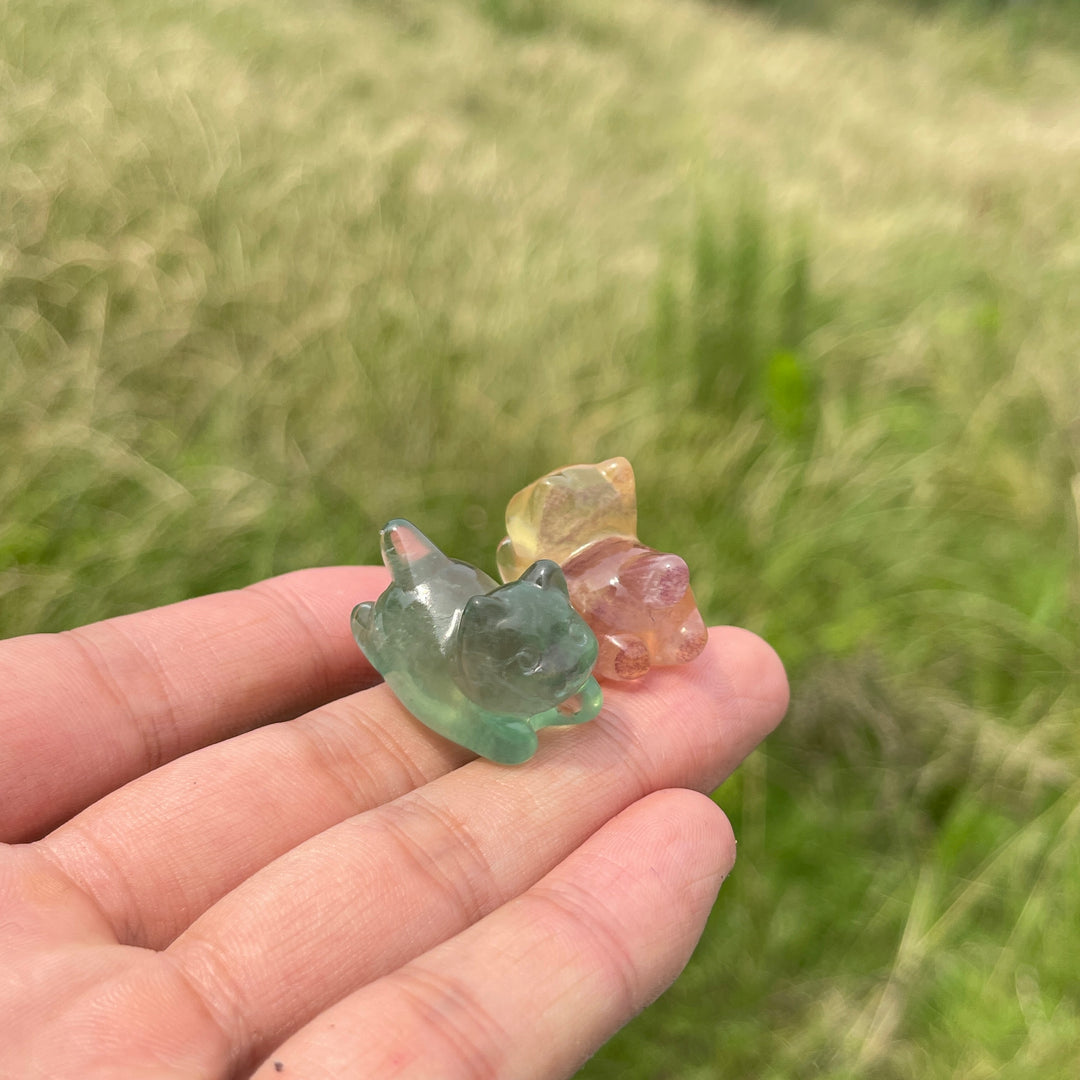 Natural Crystal Adorable Fluorite Wiggly Cat Carving