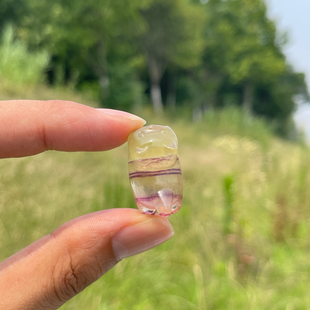 Natural Crystal Adorable Fluorite Wiggly Cat Carving