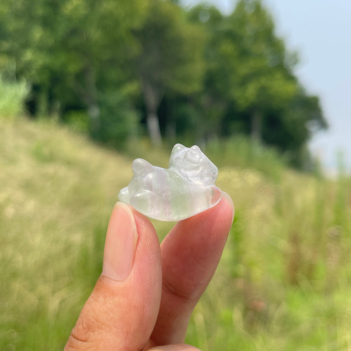 Natural Crystal Adorable Fluorite Wiggly Cat Carving