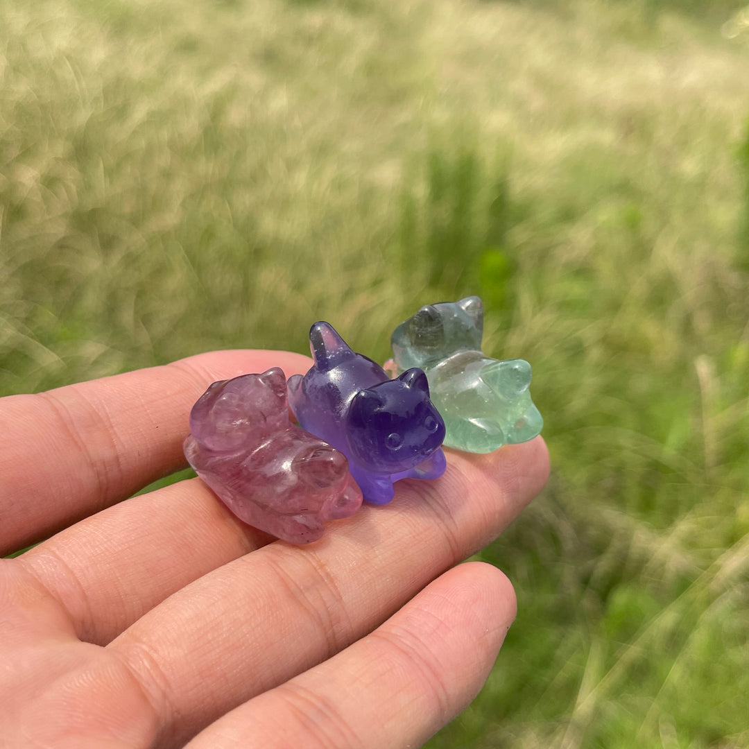 Natural Crystal Adorable Fluorite Wiggly Cat Carving
