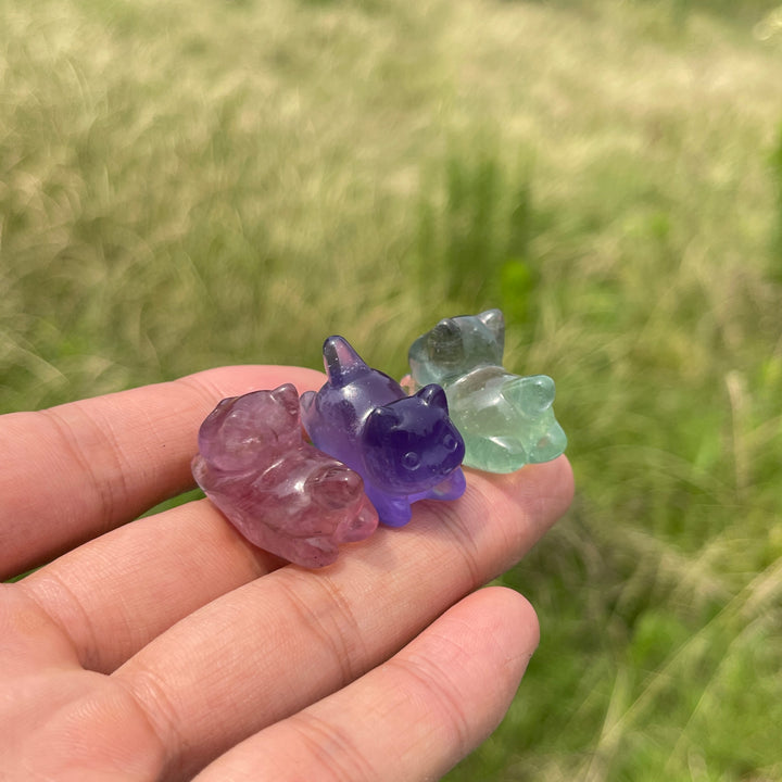Natural Crystal Adorable Fluorite Wiggly Cat Carving