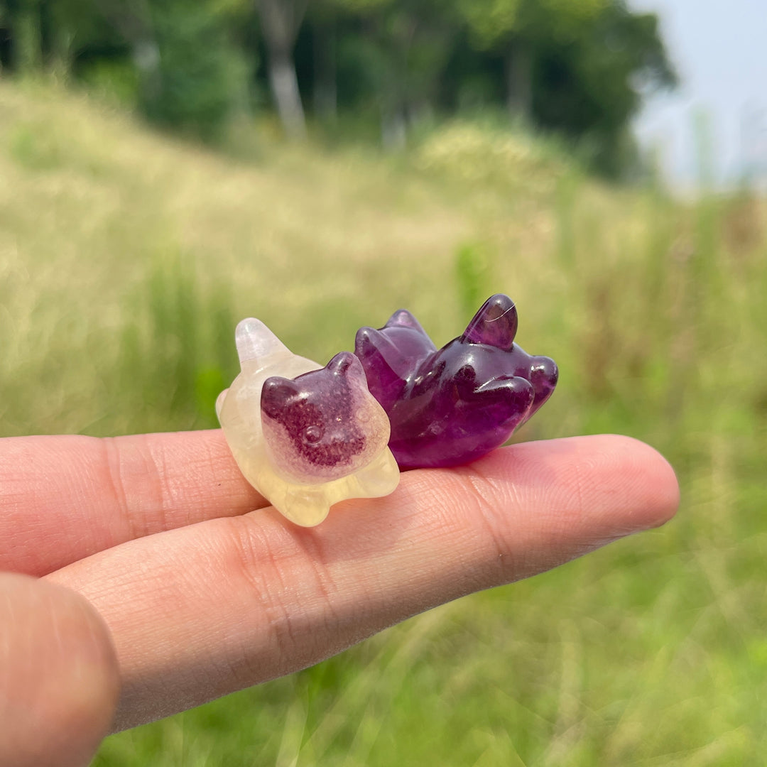 Natural Crystal Adorable Fluorite Wiggly Cat Carving