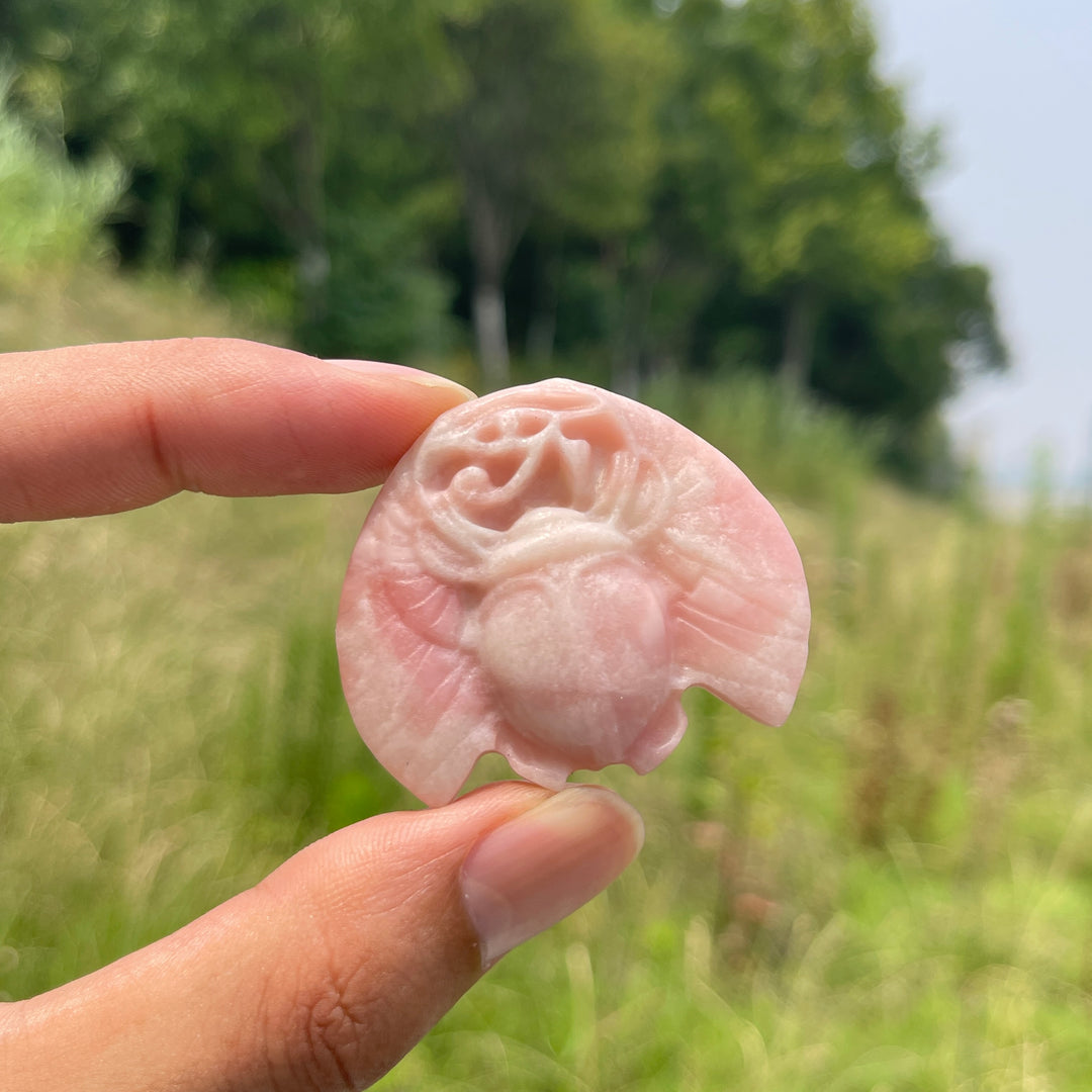 Natural Cute Crystal Scarab Carving