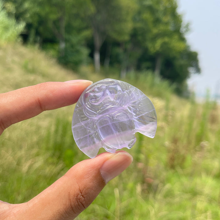 Natural Cute Crystal Scarab Carving
