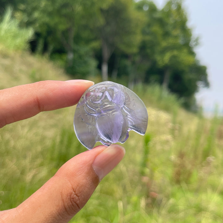Natural Cute Crystal Scarab Carving